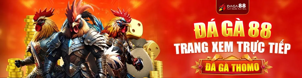 Đá Gà Trực Tuyến 55win55 Chính Thức