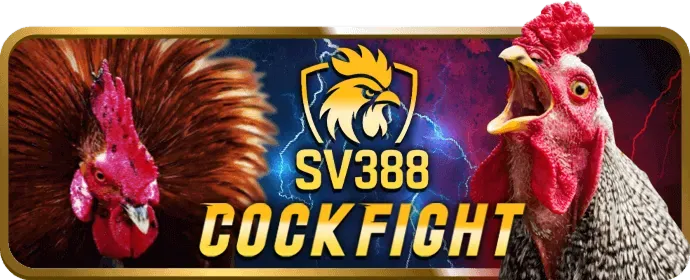 Tổng quan về các trò chơi slot tại 55win55 chính thức